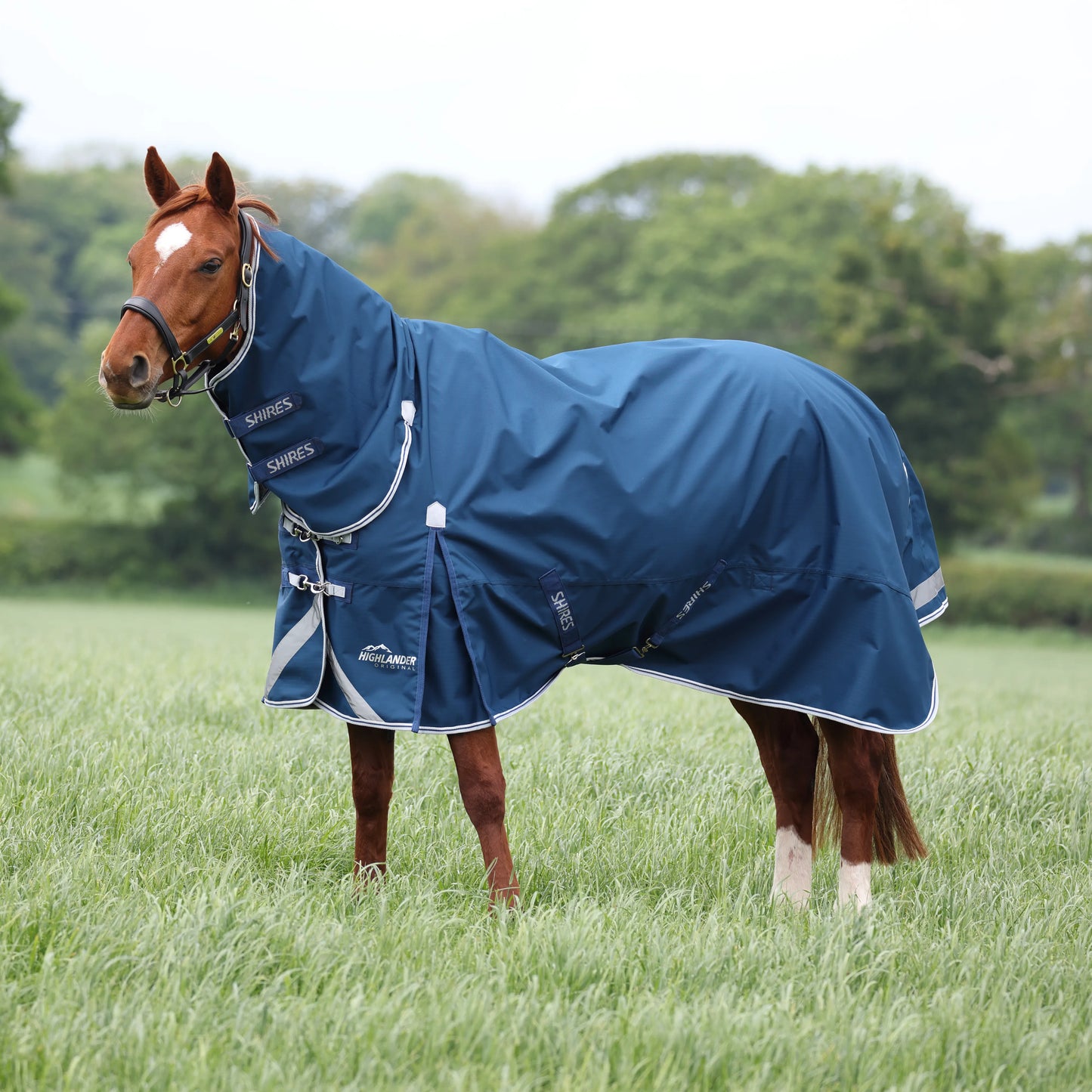 Shires Horse Highlander Original 5.0 Combo Turnout Rug Waterproof Blanket