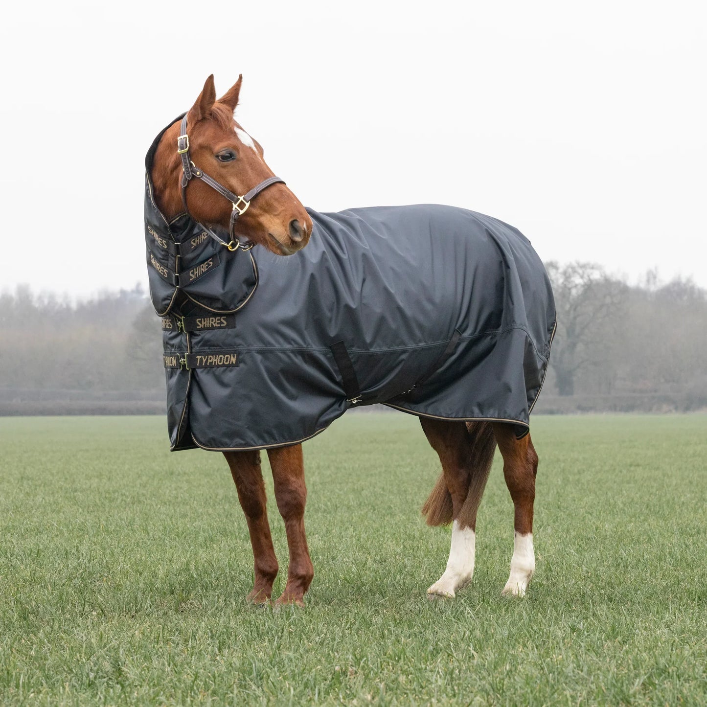 Shires Horse Typhoon 50g Combo Turnout Rug Waterproof-Breathable Rugging