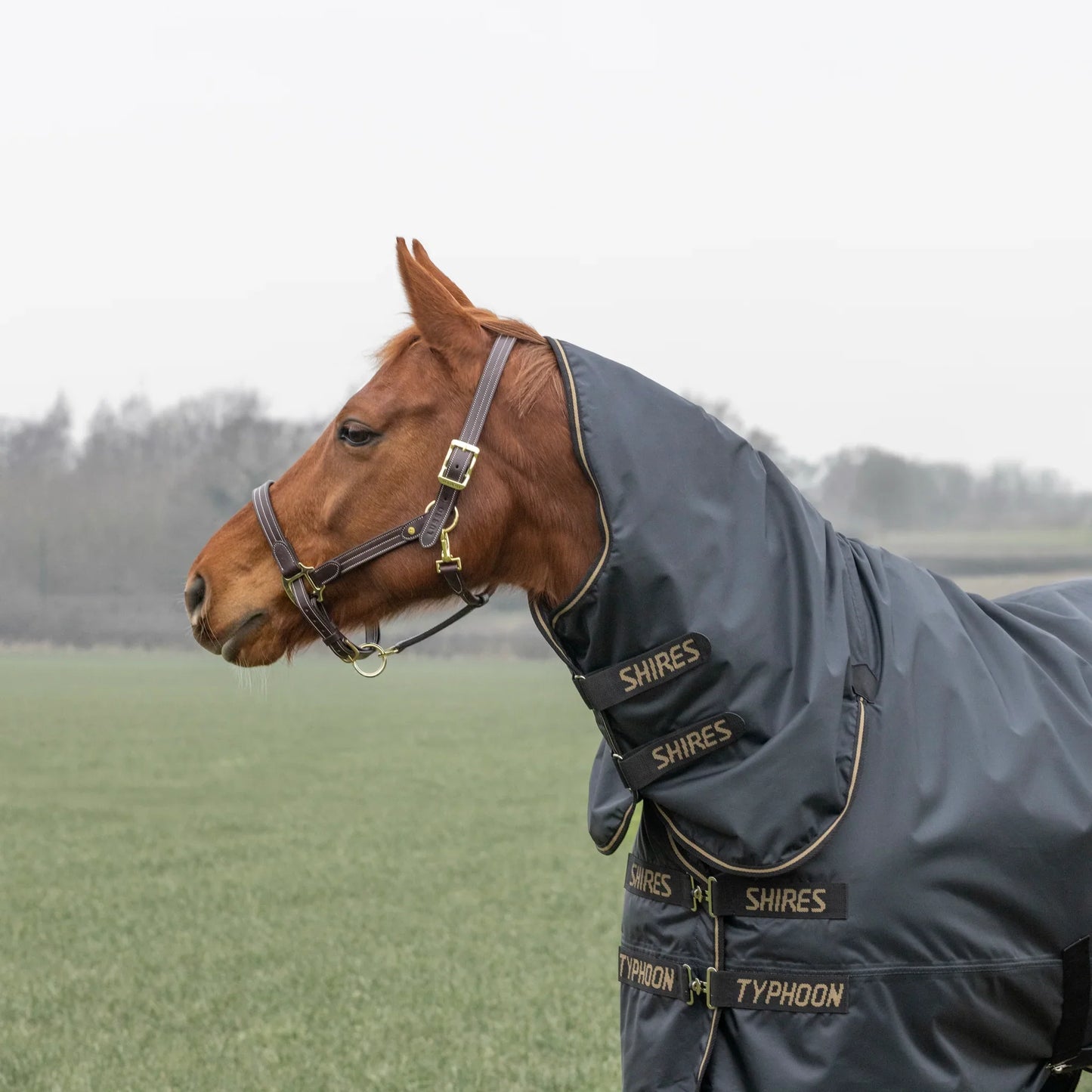 Shires Horse Typhoon 50g Combo Turnout Rug Waterproof-Breathable Rugging