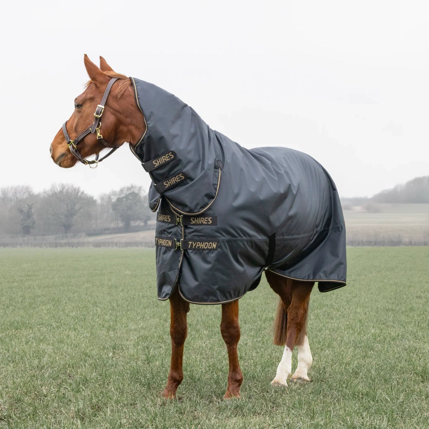 Shires Horse Typhoon 50g Combo Turnout Rug Waterproof-Breathable Rugging
