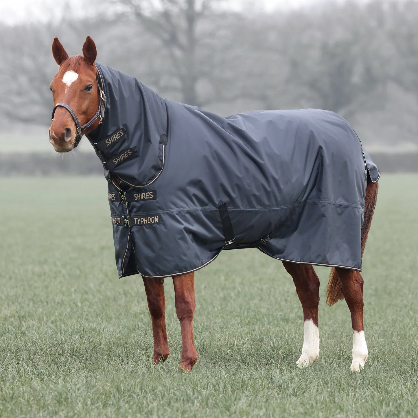 Shires Horse Typhoon 50g Combo Turnout Rug Waterproof-Breathable Rugging