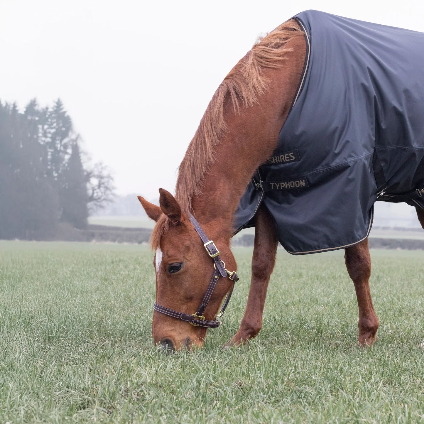 Shires Horse Typhoon 50g Turnout Rug Waterproof-Breathable Fill