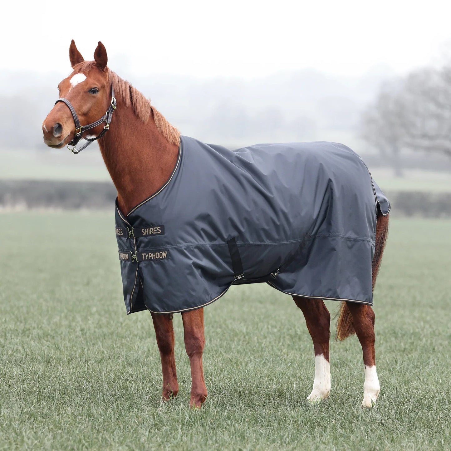 Shires Horse Typhoon 50g Turnout Rug Waterproof-Breathable Fill