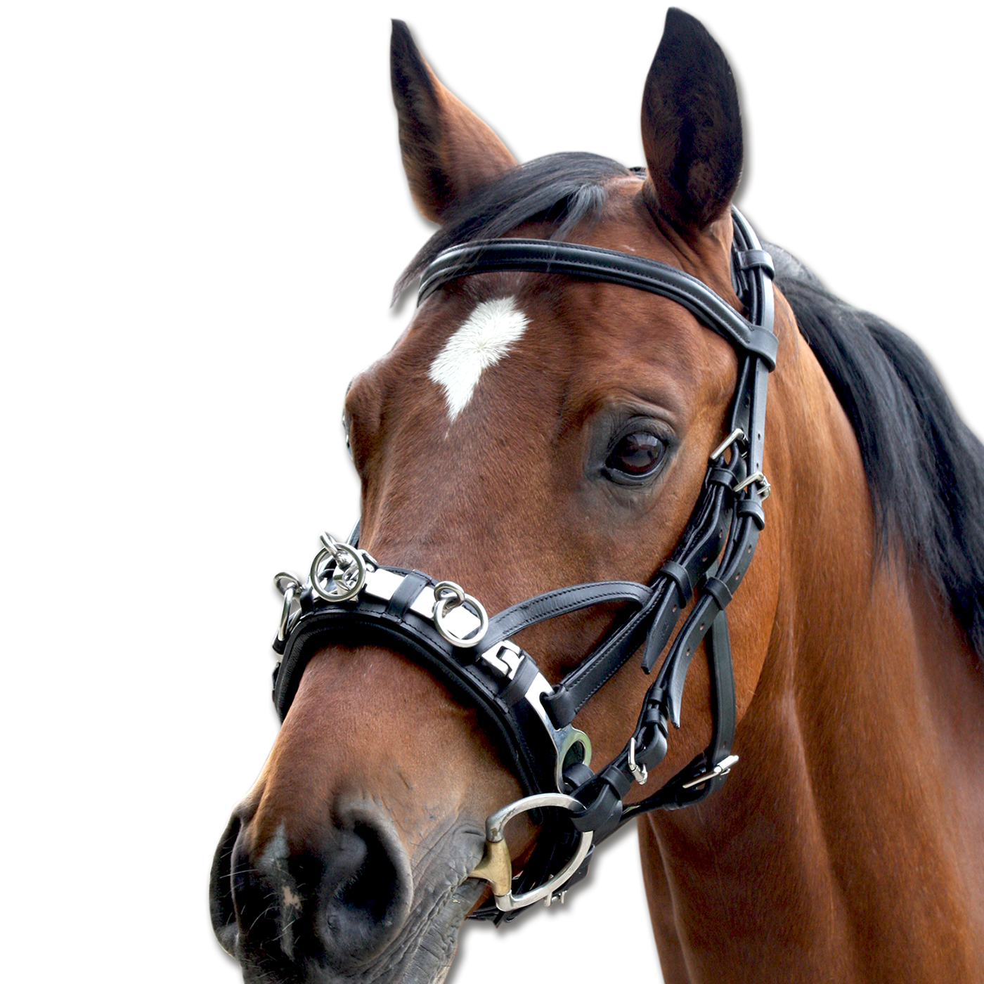 Waldhausen Horse Leather Cavesson For Horses Training Lunge Work Padded Noseband