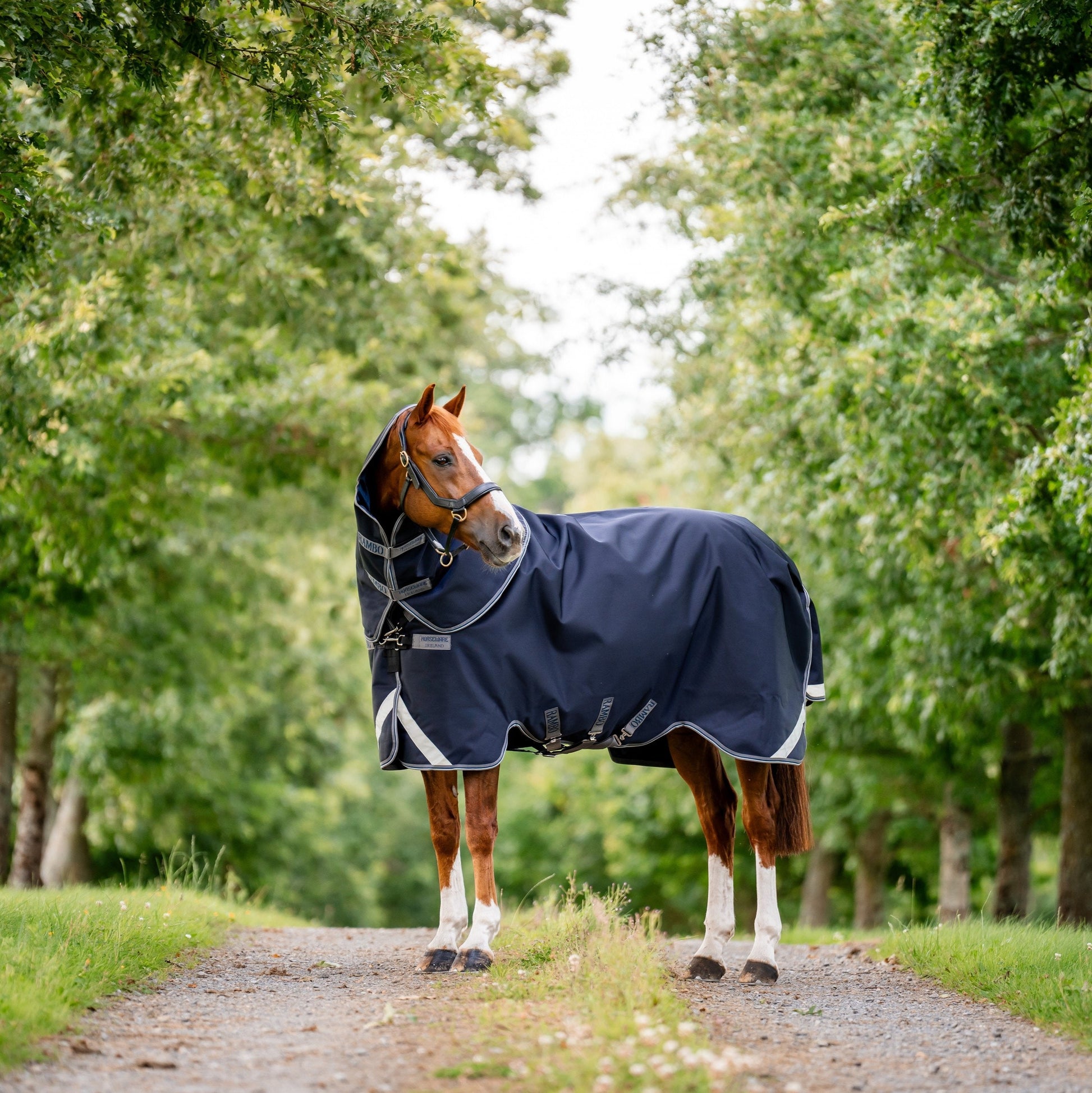 Horseware Ireland Rambo Supreme 1680D Turnout Plus 50g #colour_navy-thunderstorm-grey-silver