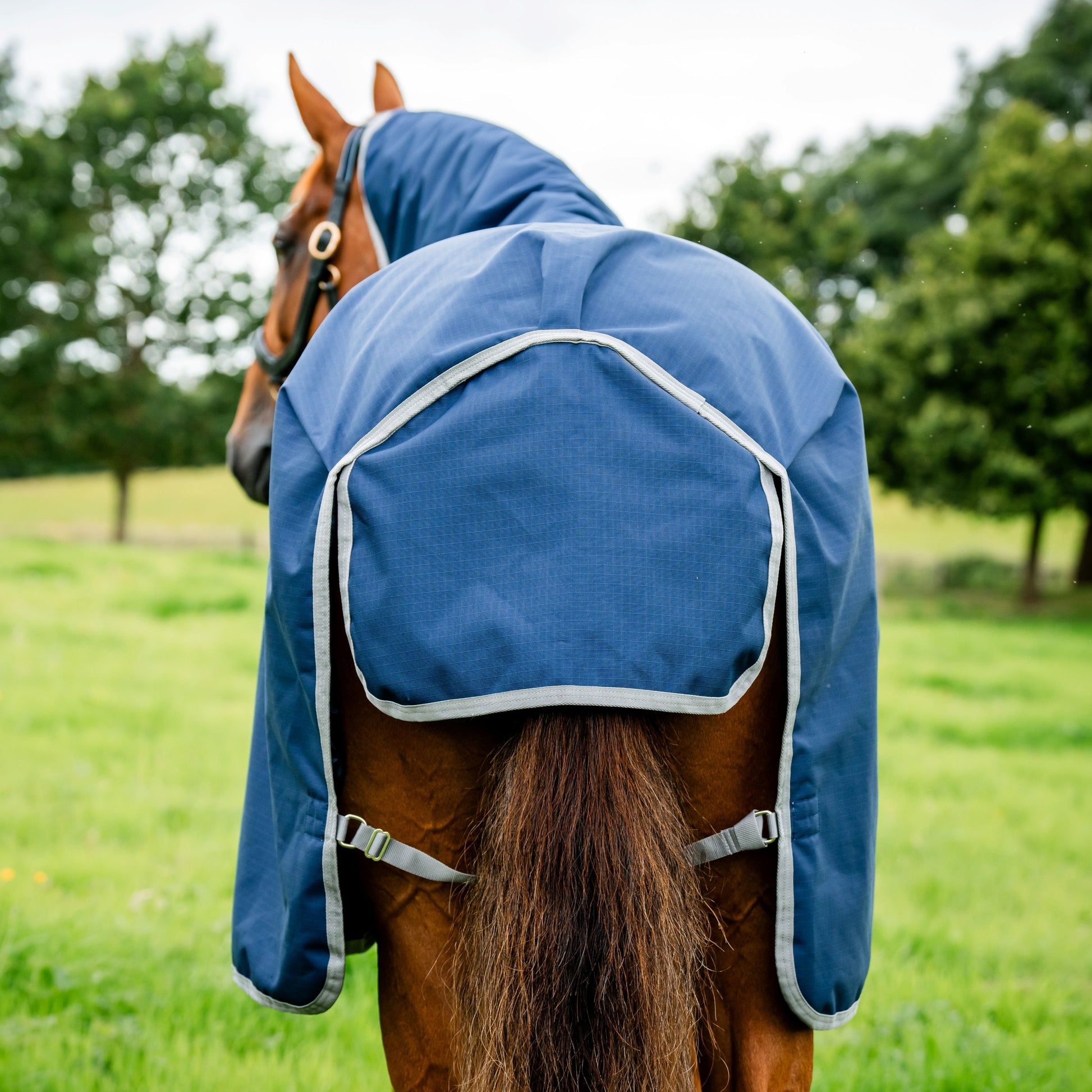 Horseware Ireland Amigo Ripstop 900D 200g Turnout Rug #colour_navy-titanium-grey
