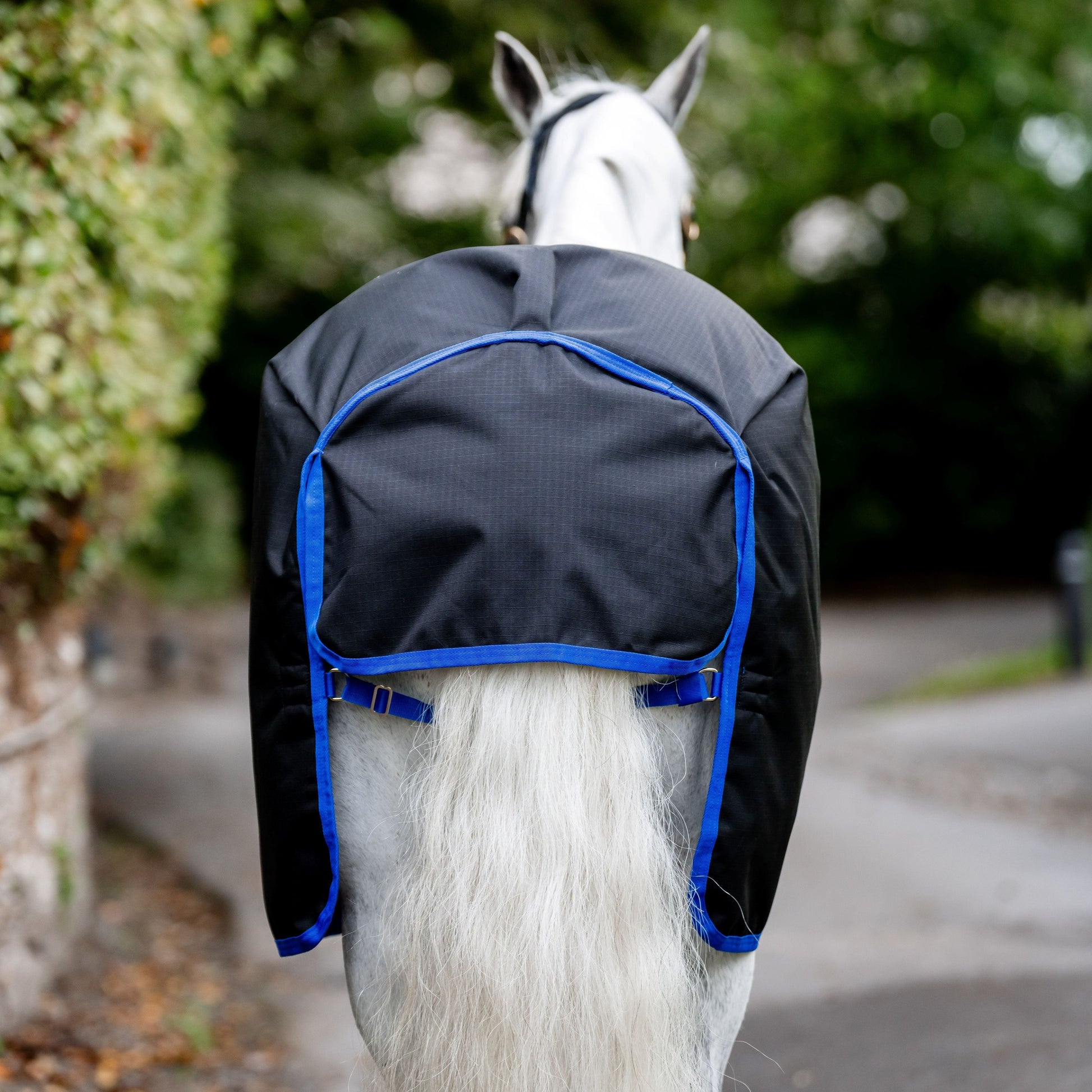 Horseware Ireland Amigo Ripstop 900D 100g Pony Turnout Rug #colour_black-classic-blue