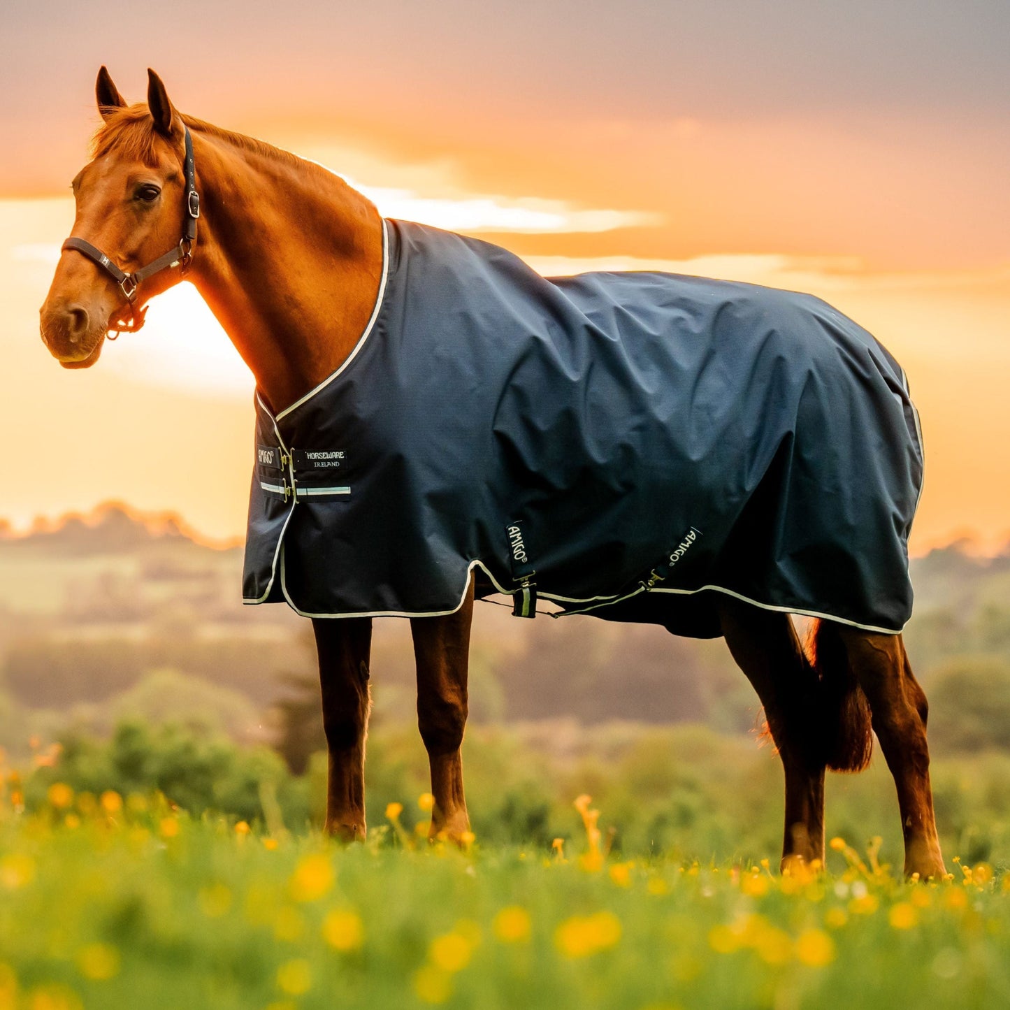 Horseware Ireland Amigo Ripstop 900D 50g Pony Turnout Rug #colour_witney-navy