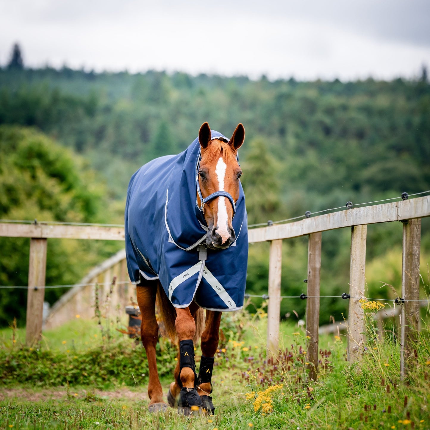 Horseware Ireland Amigo Bravo 12 Plus Bundle V-Front 50g Turnout Rug #colour_navy-titanium-grey-silver