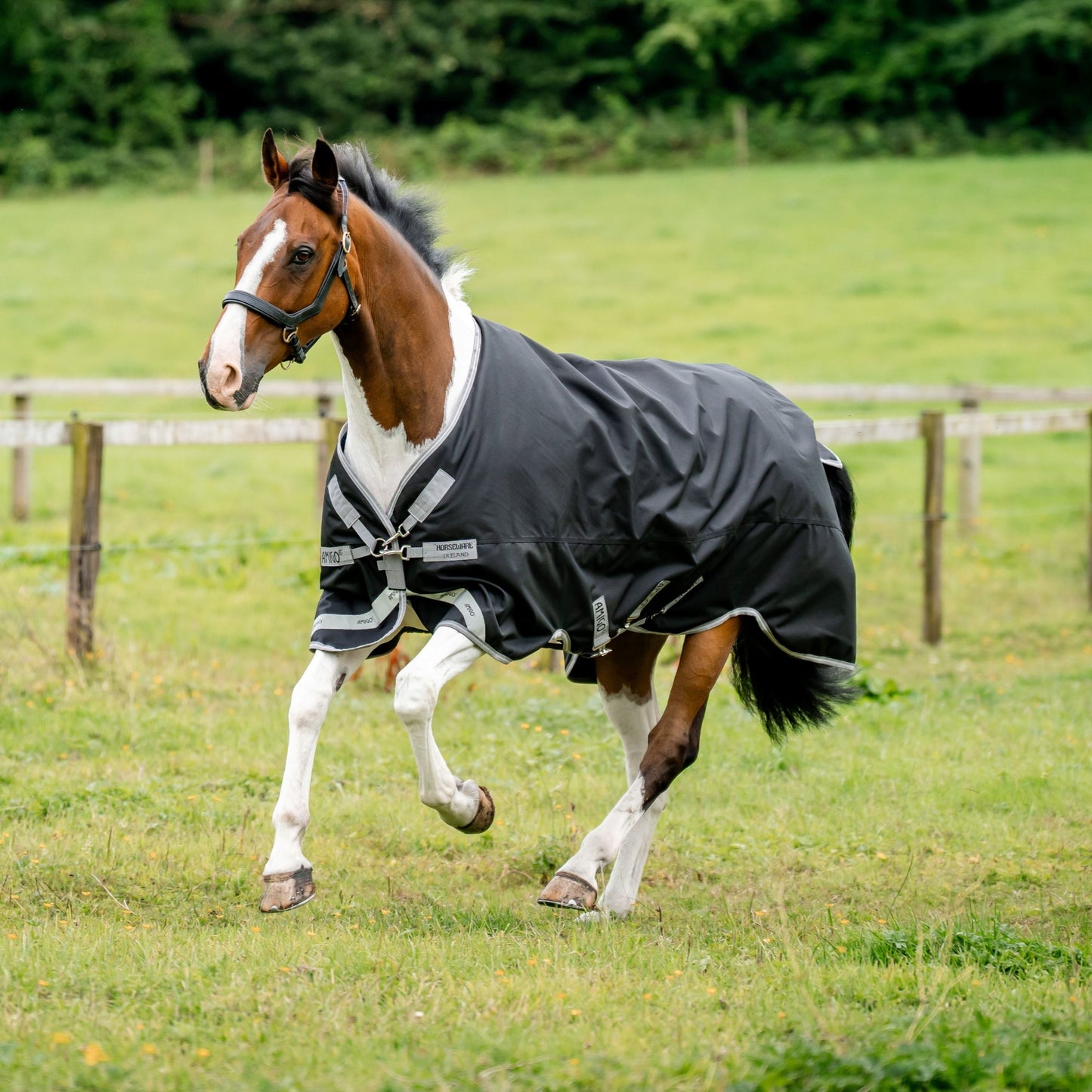 Horseware Ireland Amigo 1200D XL 150g Turnout Rug #colour_black-titanium-grey-silver