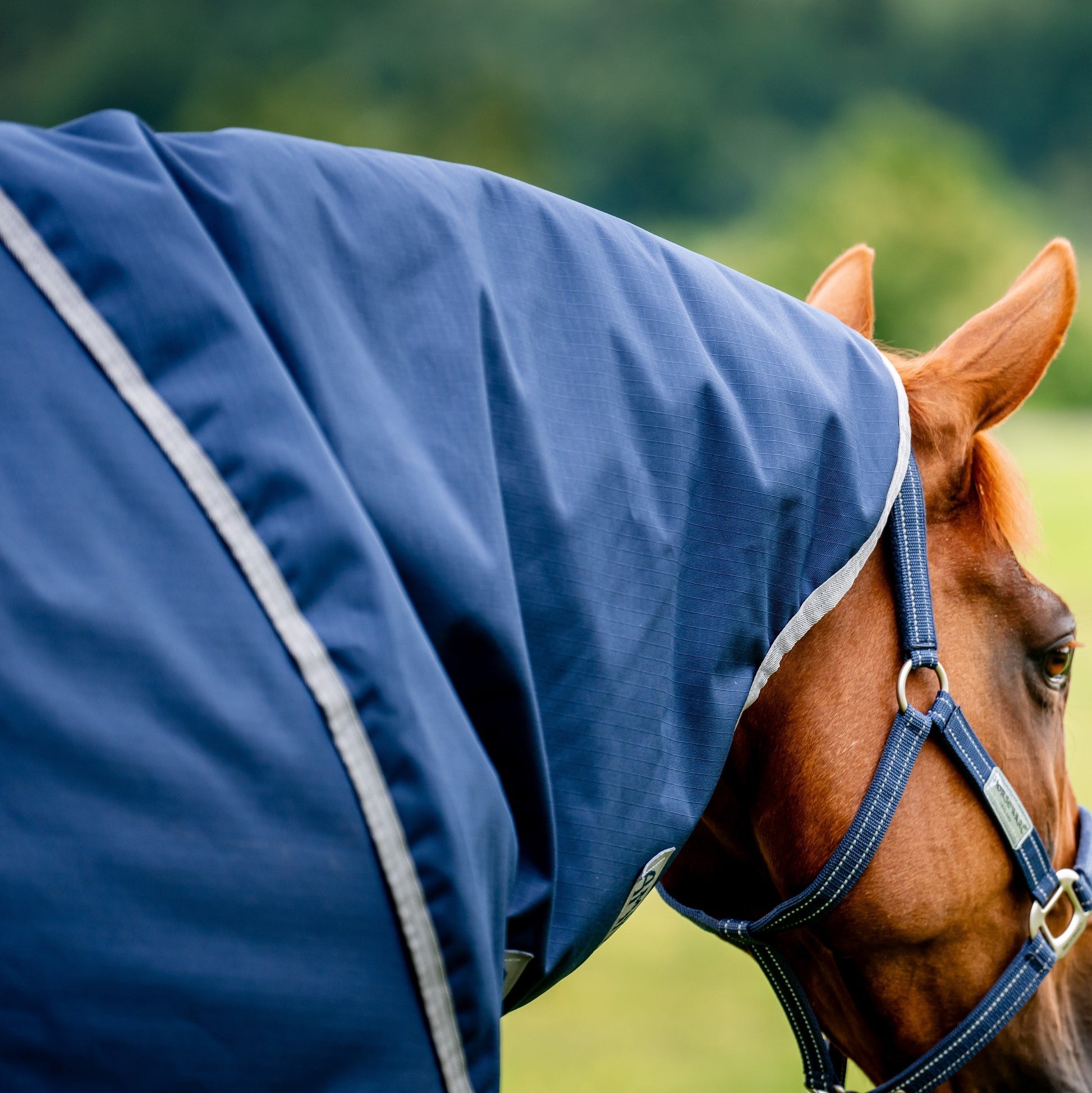 Horseware Ireland Amigo Ripstop 900 Plus 100g #colour_navy-titanium-grey