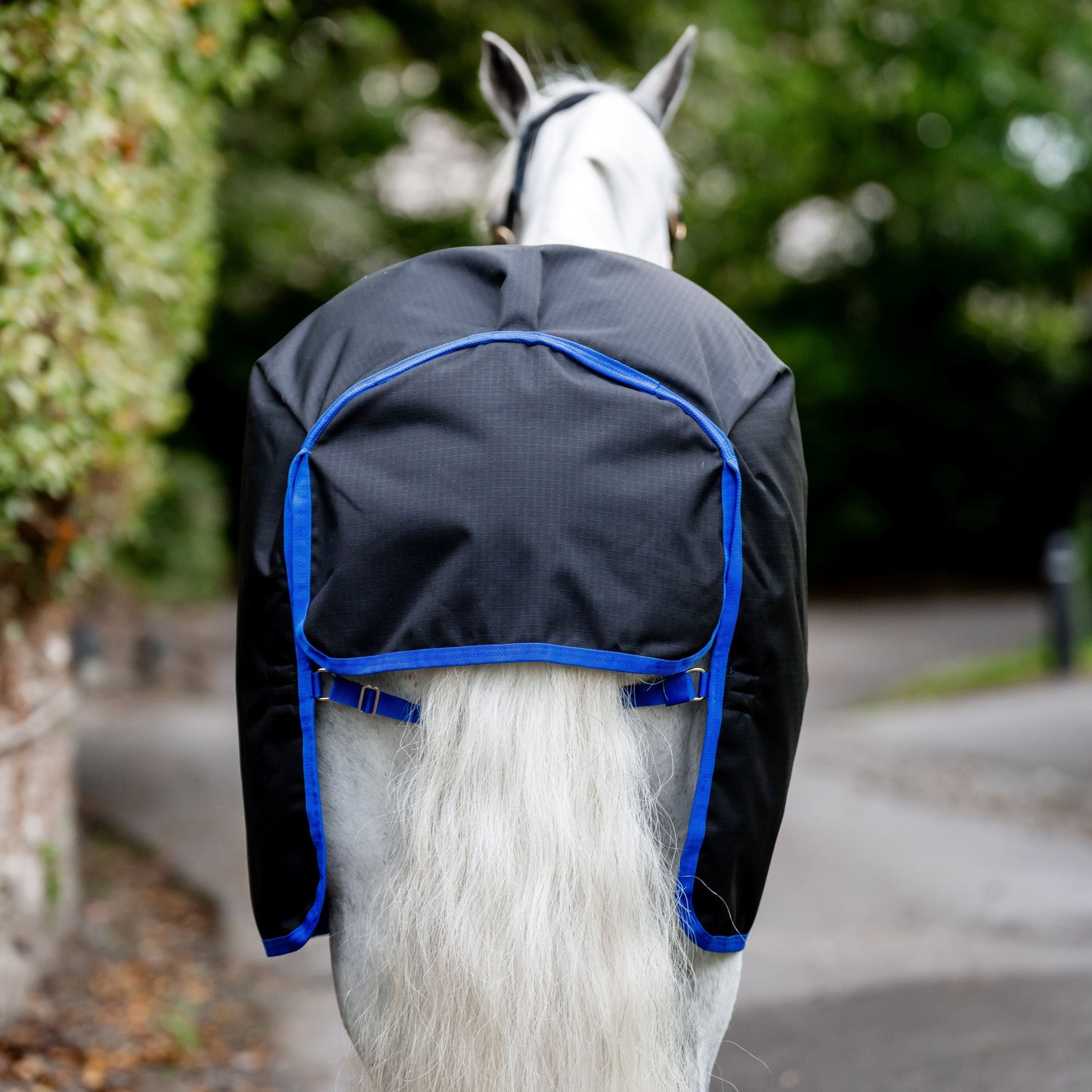 Horseware Ireland Amigo Ripstop 900D Plus 200g Pony Turnout Rug #colour_black-classic-blue