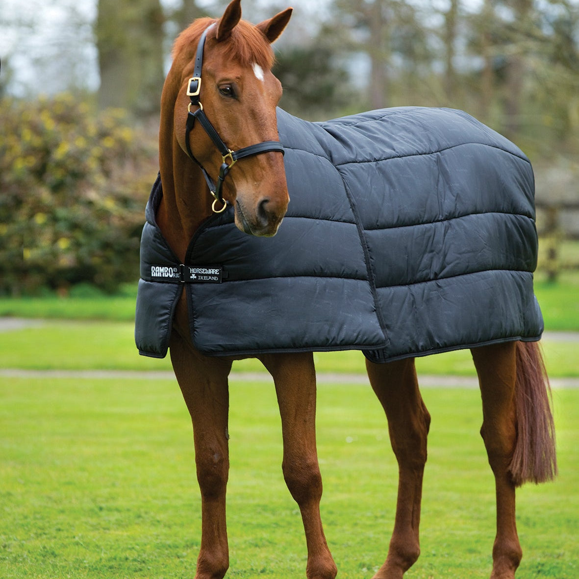 Horseware Ireland Rambo Optimo 300g Liner #colour_black-black
