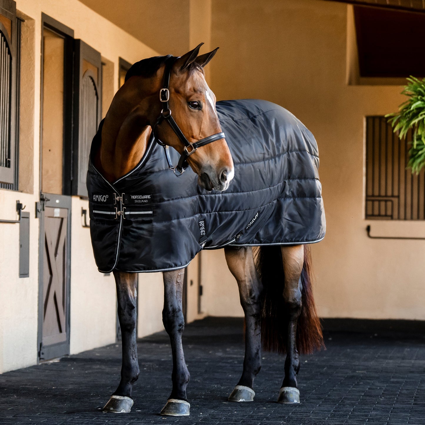 Horseware Ireland Amigo Ripstop Insulator 350g Stable Rug #colour_black-black-silver