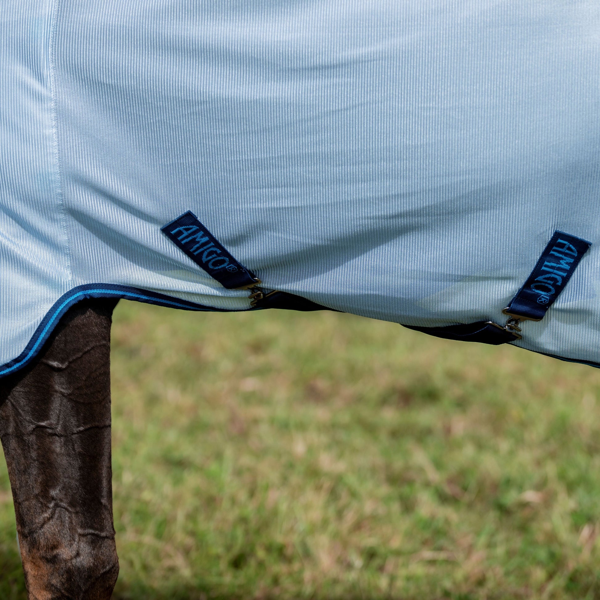 Horseware Ireland Amigo Bug Rug Plus #colour_azure-blue-navy-electric-blue