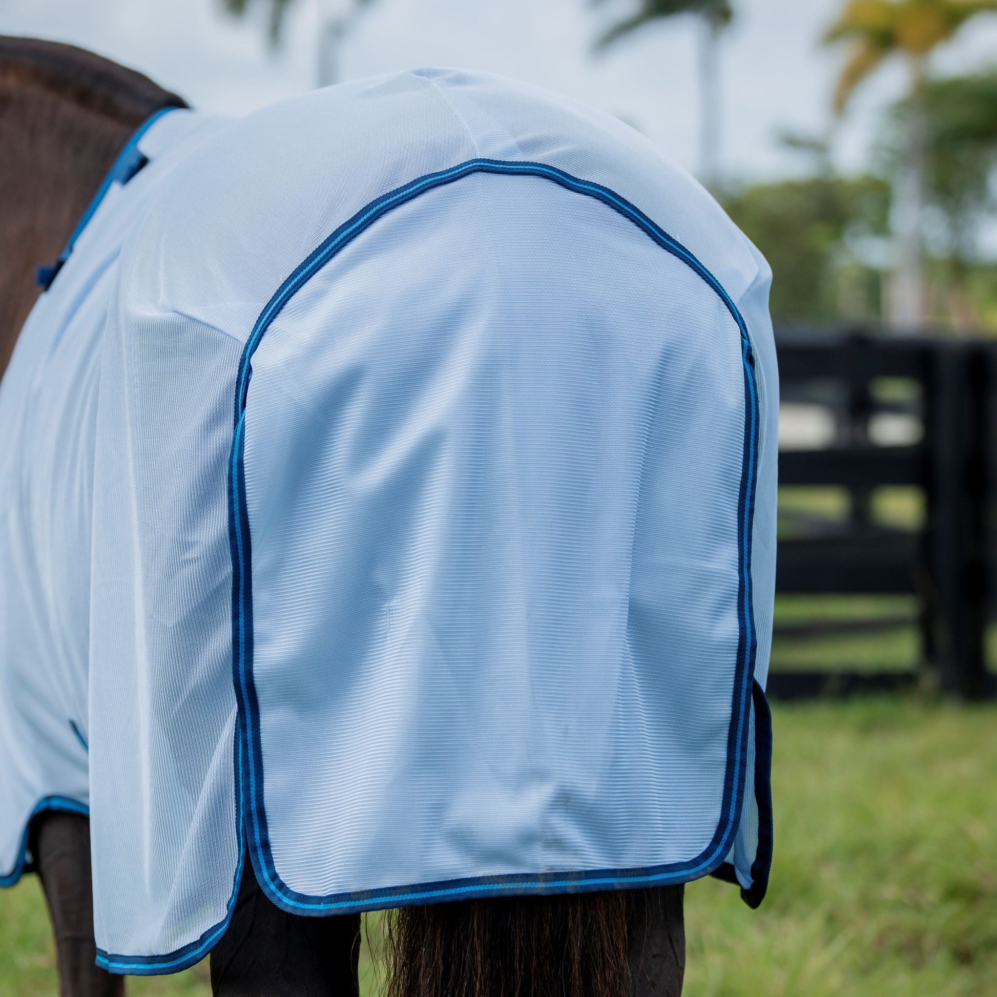 Horseware Ireland Amigo Bug Rug Plus #colour_azure-blue-navy-electric-blue