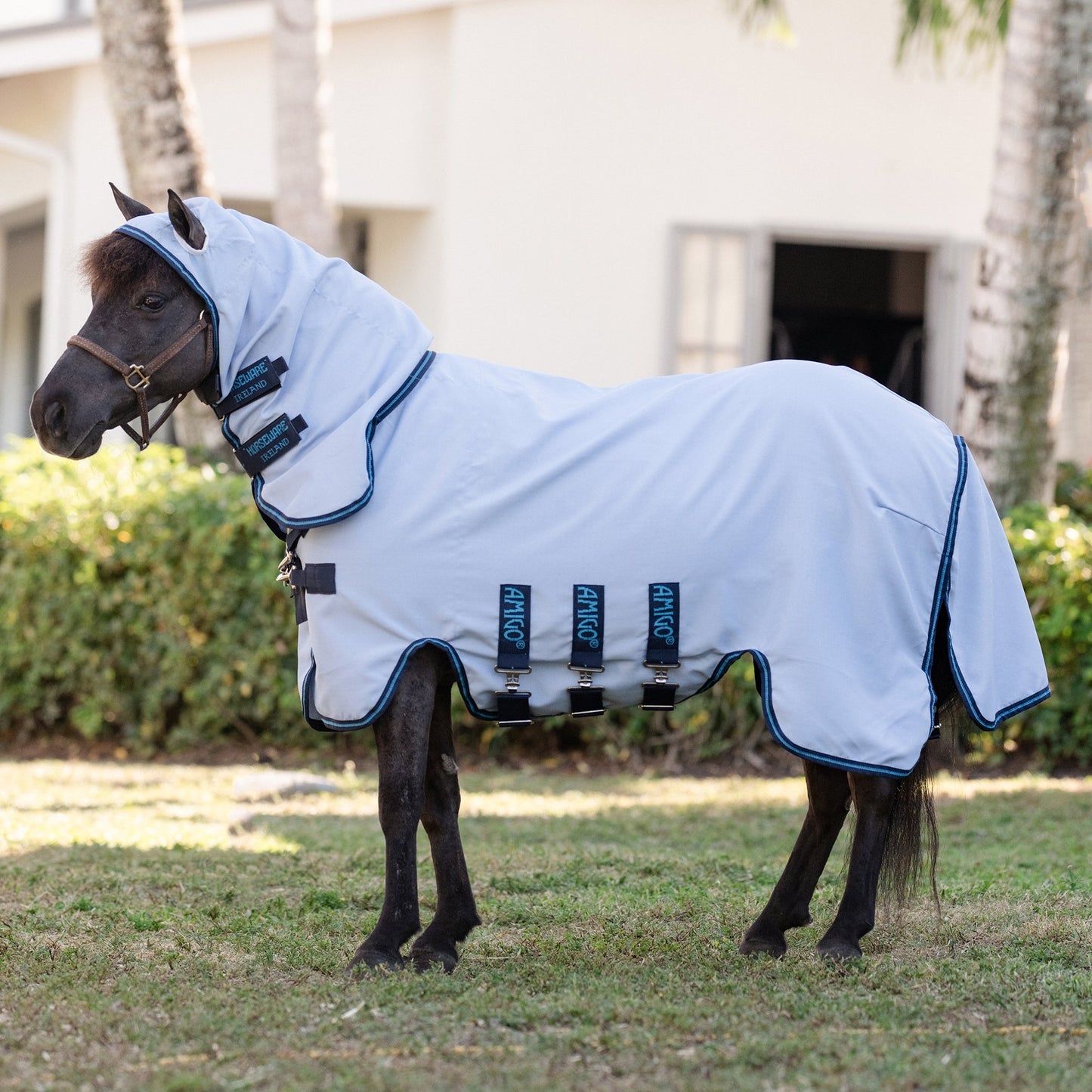 Horseware Ireland Amigo Petite Ripstop Hoody Fly Sheet for Miniature Horses