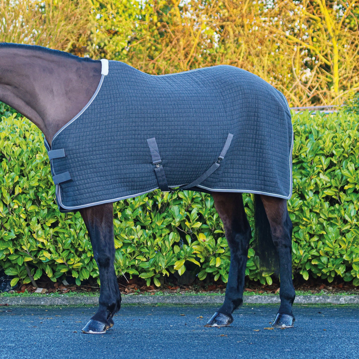 Mackey Horse Aran Thermo Rug Quilted Cooler Wicking Fabric Detachable Hood