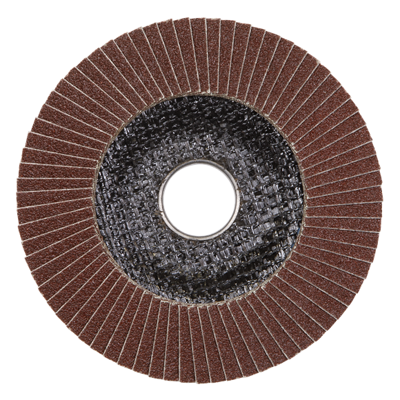 Sealey 120 Grit Aluminium Oxide Flap Discs 115mm Pack of 10 for Surface Prep