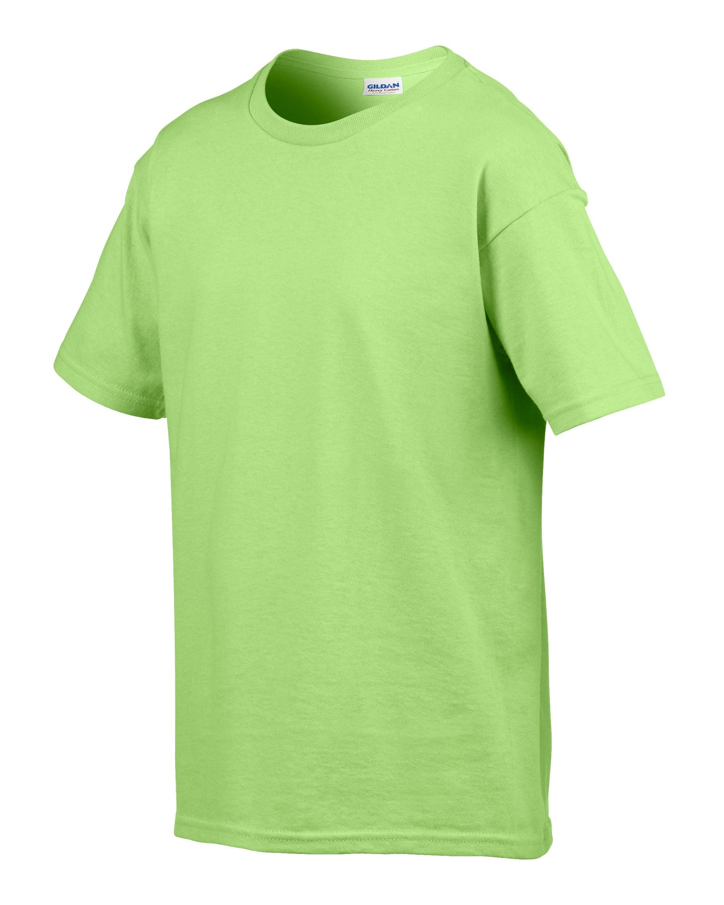 Gildan Softstyle Adult Ringspun T-Shirt Mint Green Lightweight Euro Fit