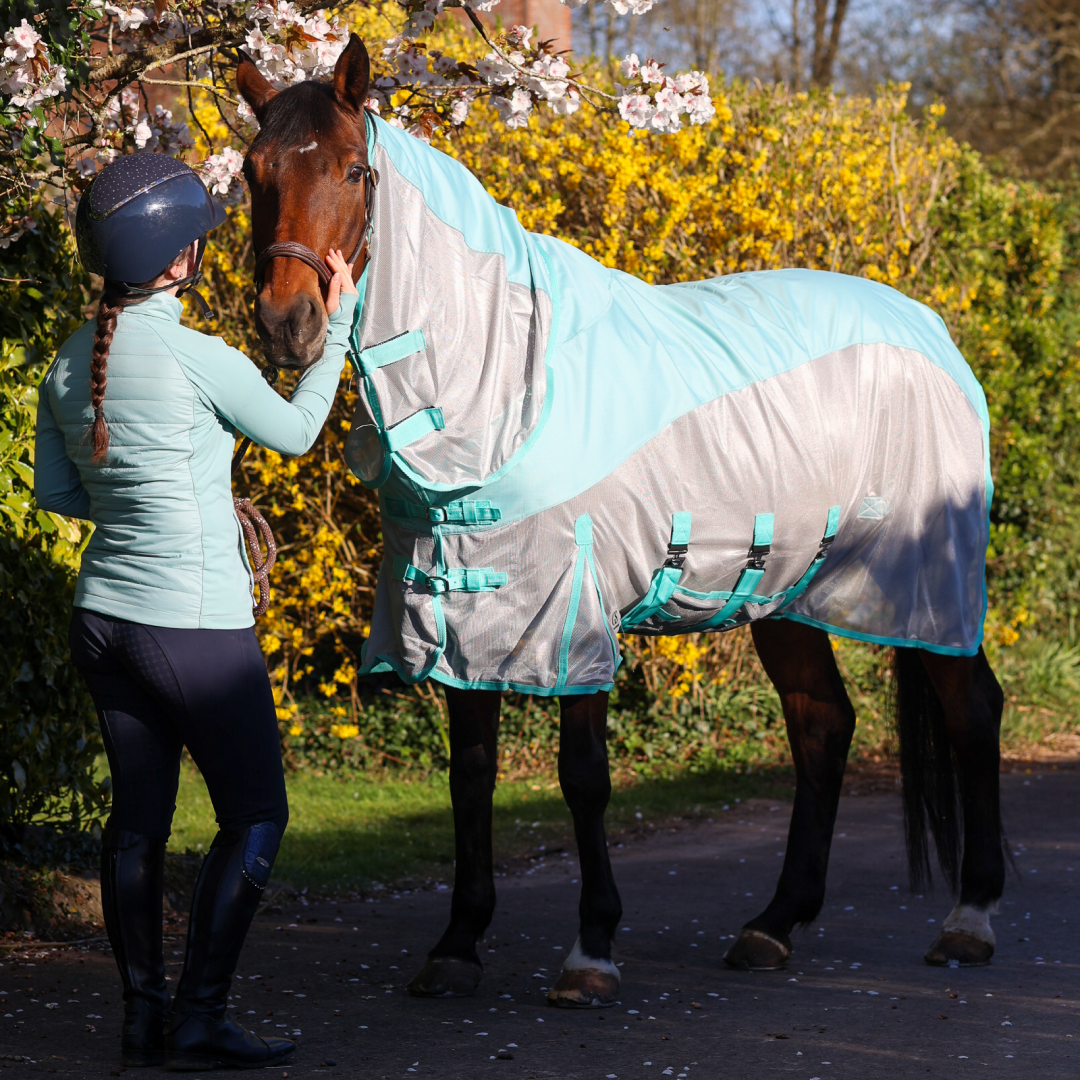 GS Equestrian & Country Hybrid Combo Neck Fly Rug Mask Horse Waterproof