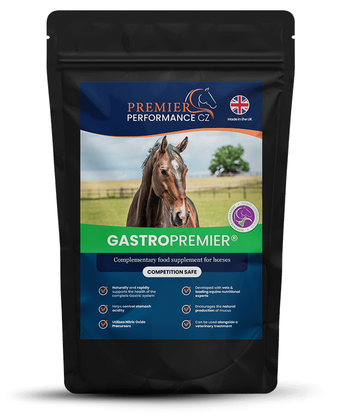 Premier Performance GastroPremier Digestive Support Supplement for Horses