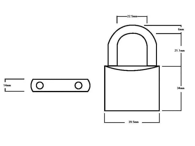 Squire LN4T Lion Brass Padlocks 40mm Twin Pack 5-Pin Keyed Alike Security