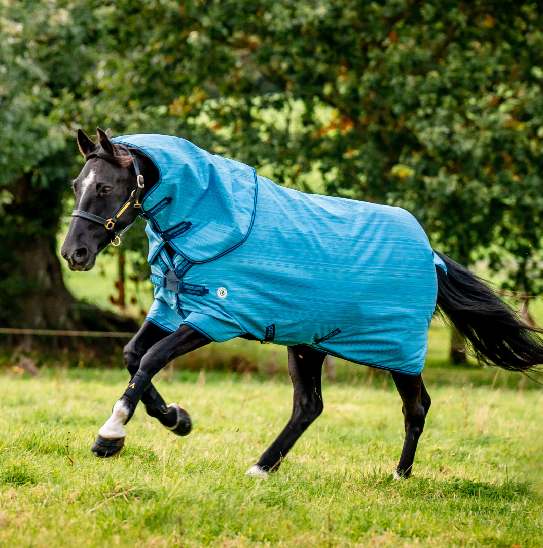Horseware Ireland Amigo Hero 900 Revive Plus 50g #colour_ocean-blue-navy-electric-blue