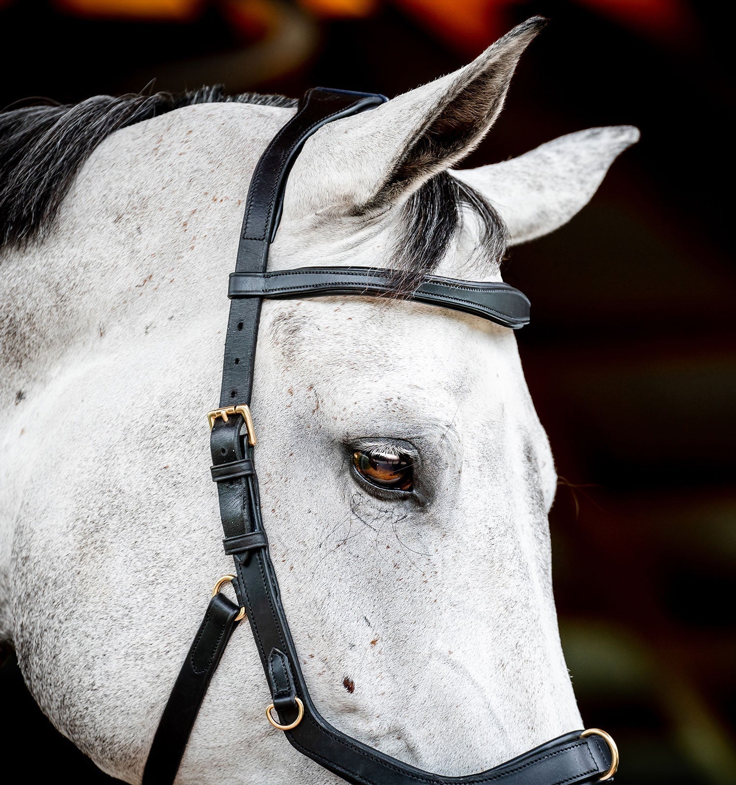 Horseware Ireland Micklem 2 Multi Bridle #colour_black
