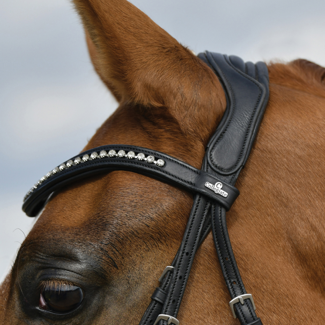 Collegiate Horse Comfitec Opulux Padded Dressage Bridle With Browband Options