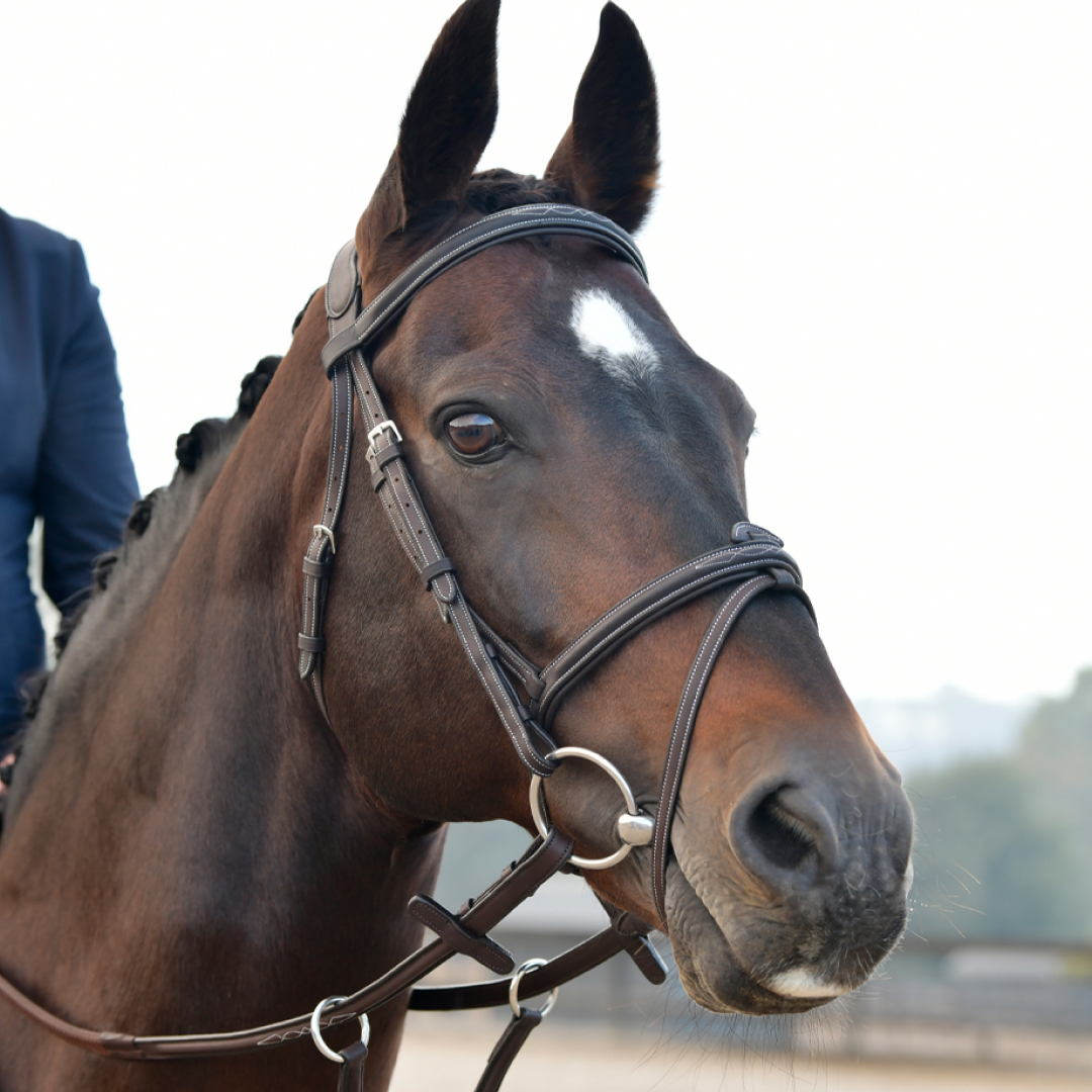Collegiate Comfitec Opulux Fancy Stitch Padded Hanoverian Bridle #colour_dark-brown