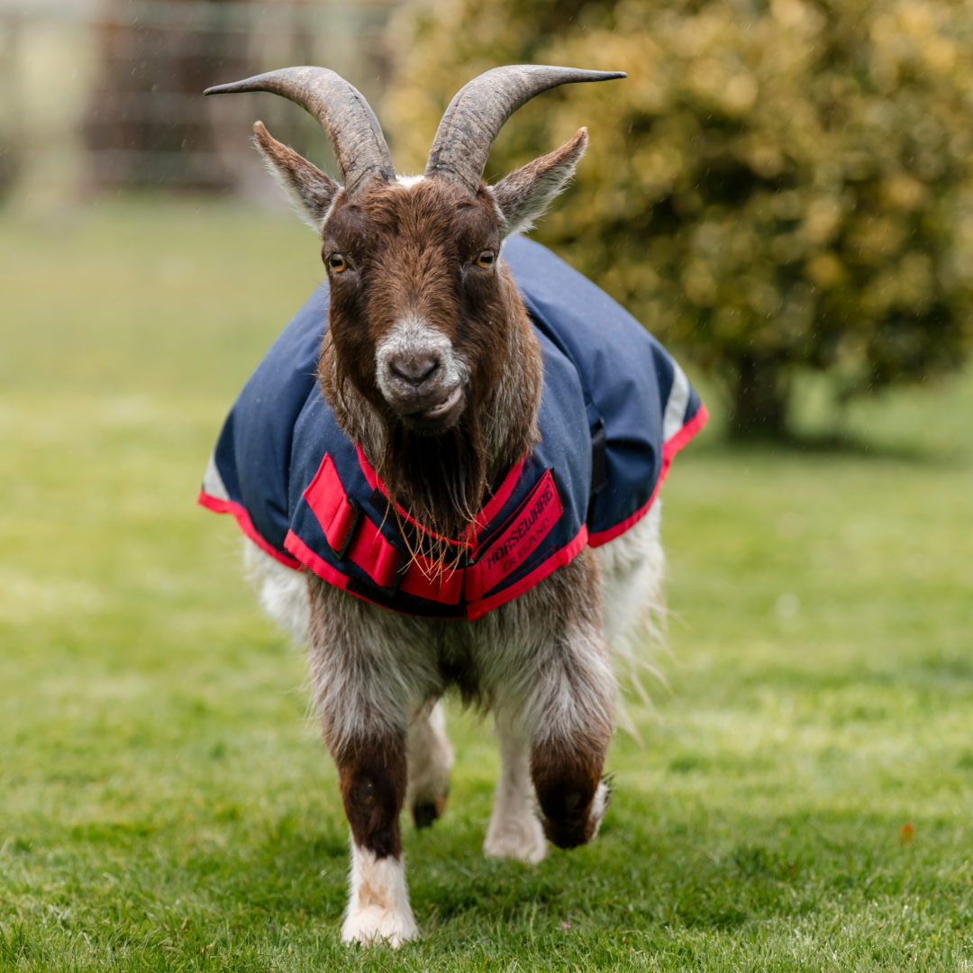Horseware Ireland 0g Goat Coat Waterproof-Breathable 900D Ripstop Polyester