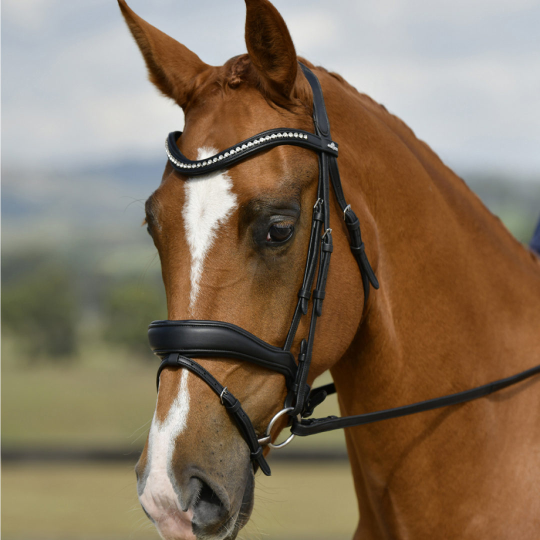 Collegiate Horse Comfitec Opulux Padded Dressage Bridle With Browband Options