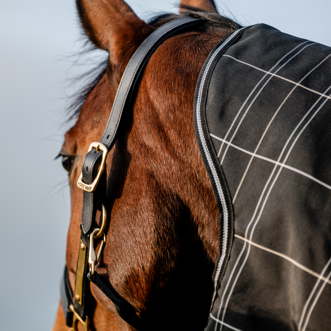 Horseware Ireland Rhino Plus Turnout Rug Bundle (0g Outer With 200g Liner)