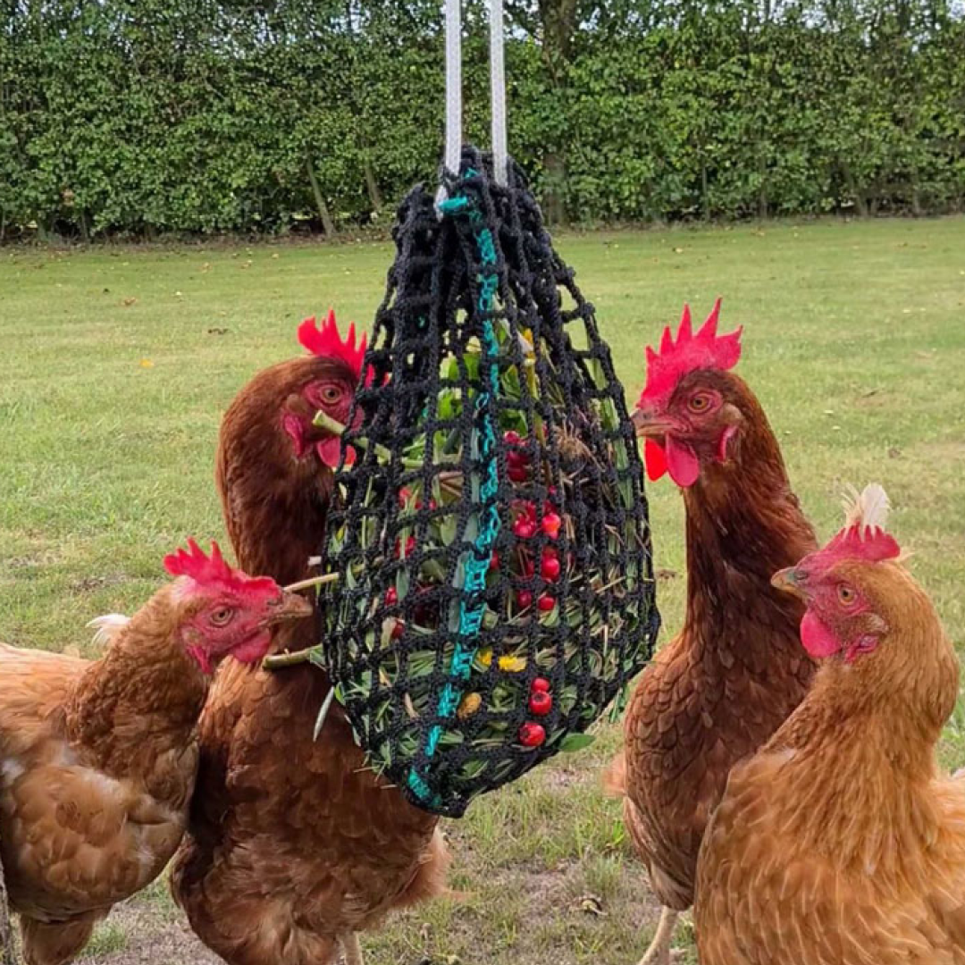 Trickle Net Chirpy Chook Meadow Chicken Foraging Feeding Enrichment Tool