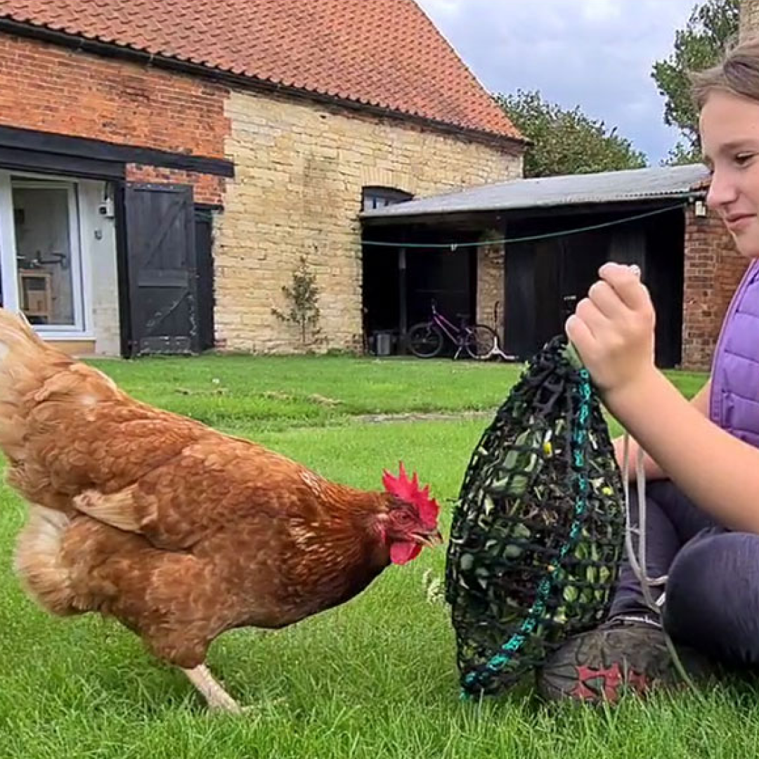 Trickle Net Chirpy Chook Meadow Chicken Foraging Feeding Enrichment Tool