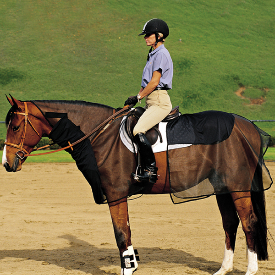 Cashel Horse Crusader Quiet Ride Bug Armour Lightweight Mesh Protection