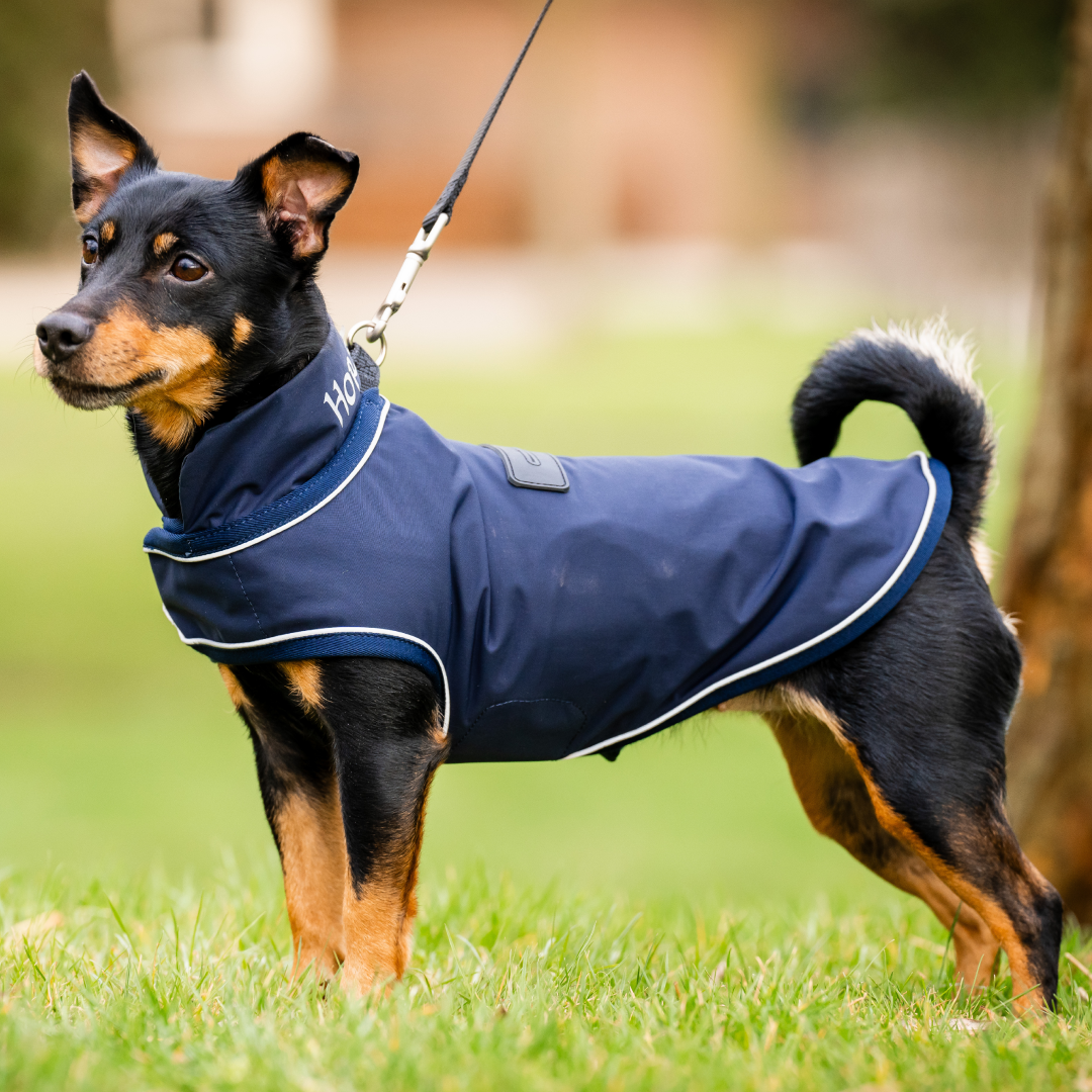 Horseware Ireland Signature Dog Rain Coat Waterproof Adjustable Fit