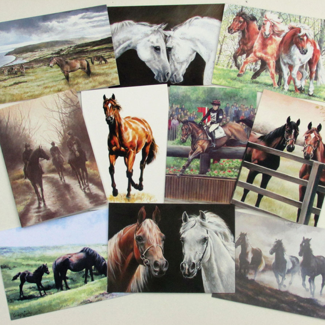 Caroline Cook Equestrian Cards Pack of 10 Individually Wrapped UK Made