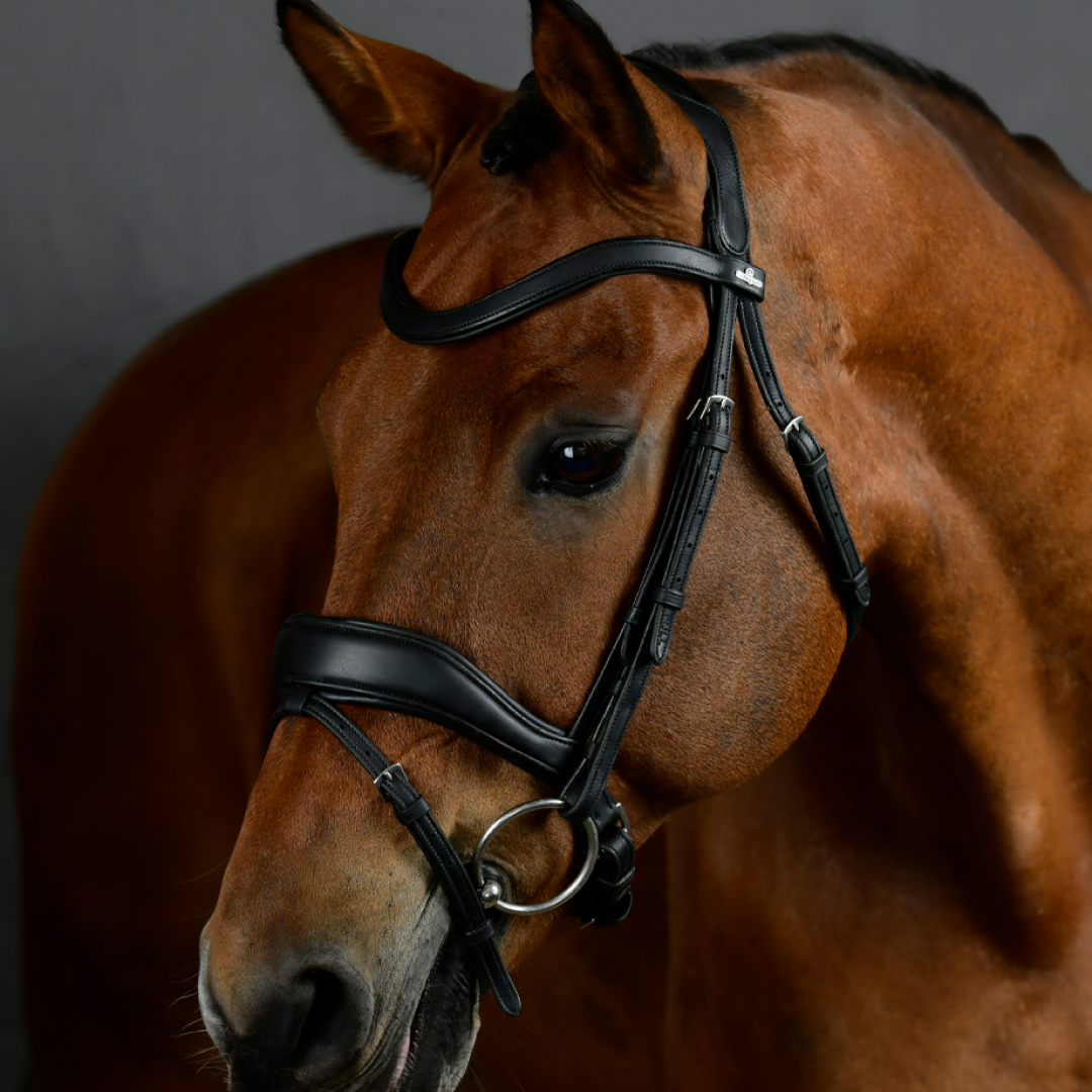 Collegiate Horse Comfitec Opulux Padded Dressage Bridle With Browband Options