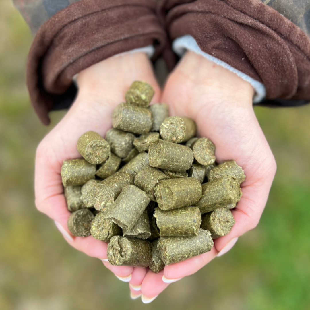 Silvermoor Eco Treatsies Healthy Horse Treats Low Sugar High Fibre