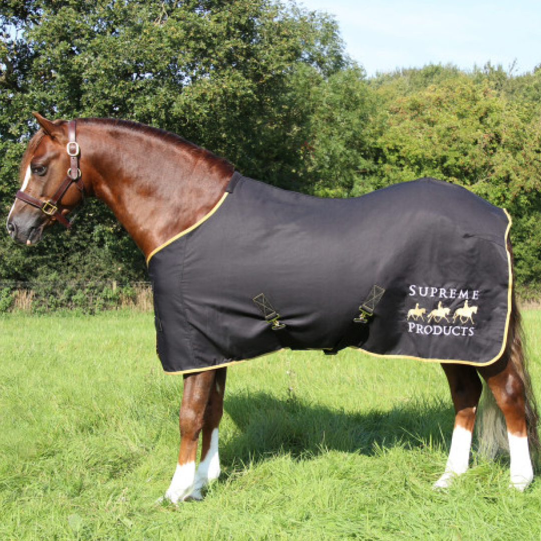 Supreme Products Horse Show Sheet Lightweight Breathable Rug for