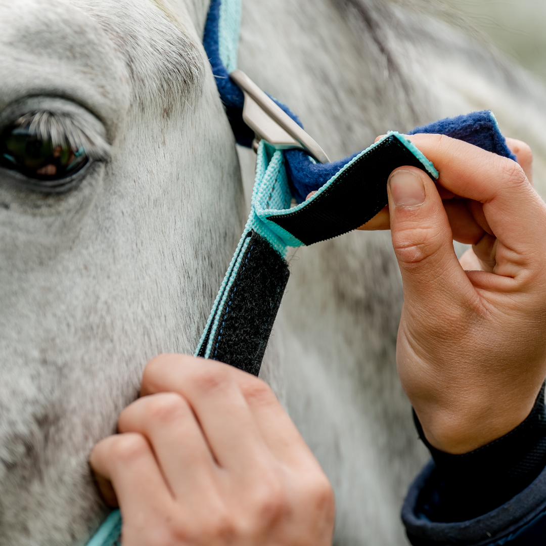Horseware Ireland Field Safe HeadcollarHorseware Ireland Field Safe Headcollar #colour_blue-haze