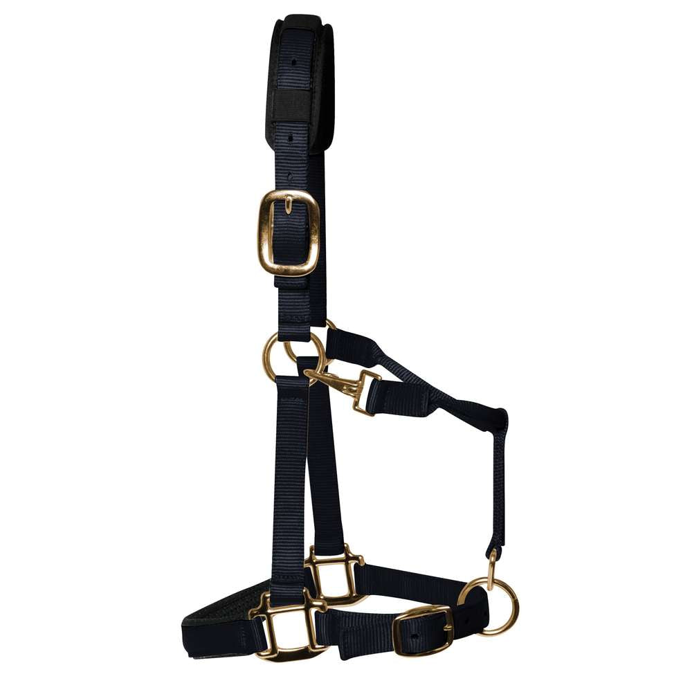 KM Elite Padded Headcollar #colour_black