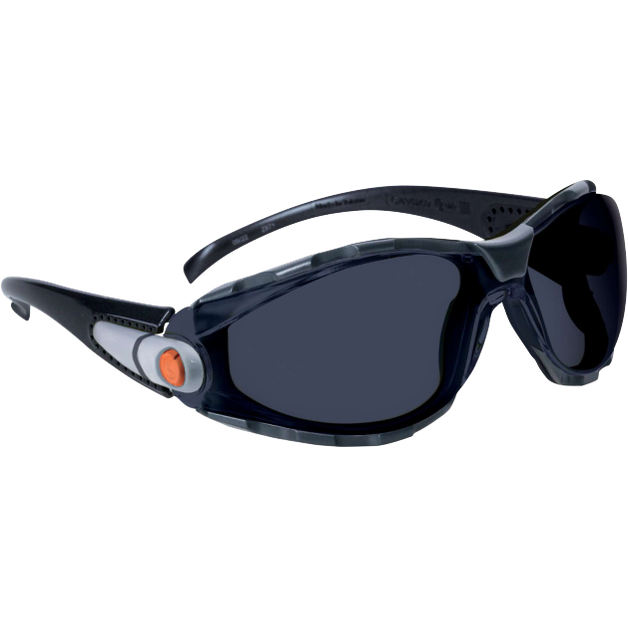 Delta Plus PACAYA SMOKE Anti-Fog Safety Glasses with Foam Seal, UV400