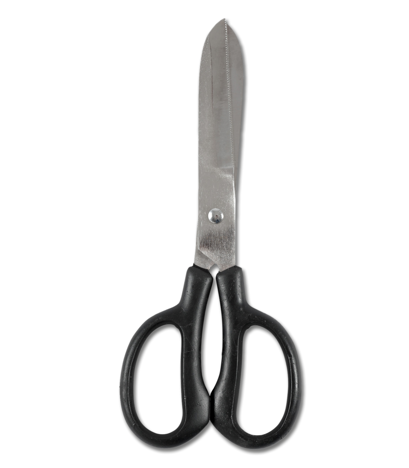 Mackey Fetlock Shears Scissors