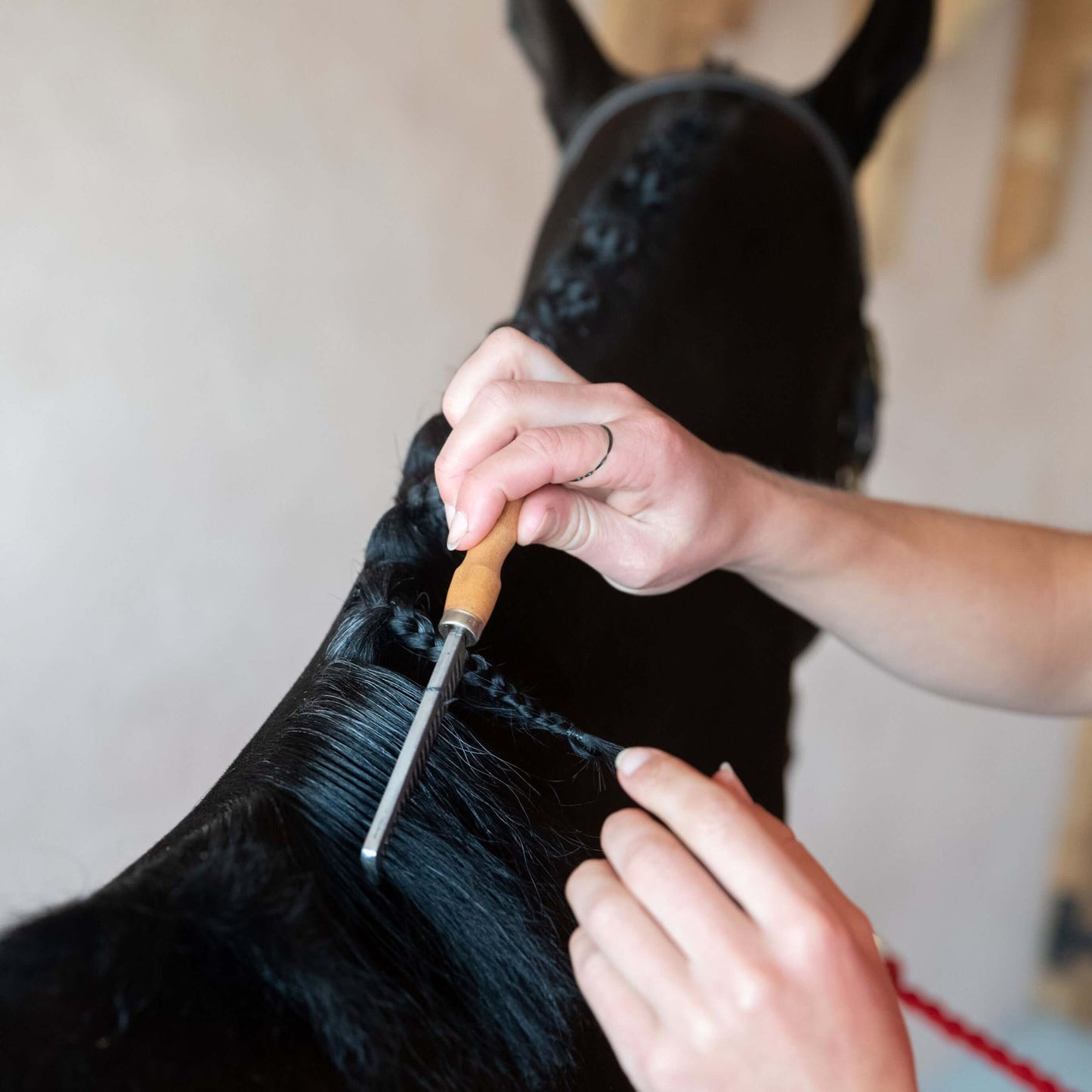 Smart Grooming Mane Comb for Horses Detangling Braiding Grooming UK Made