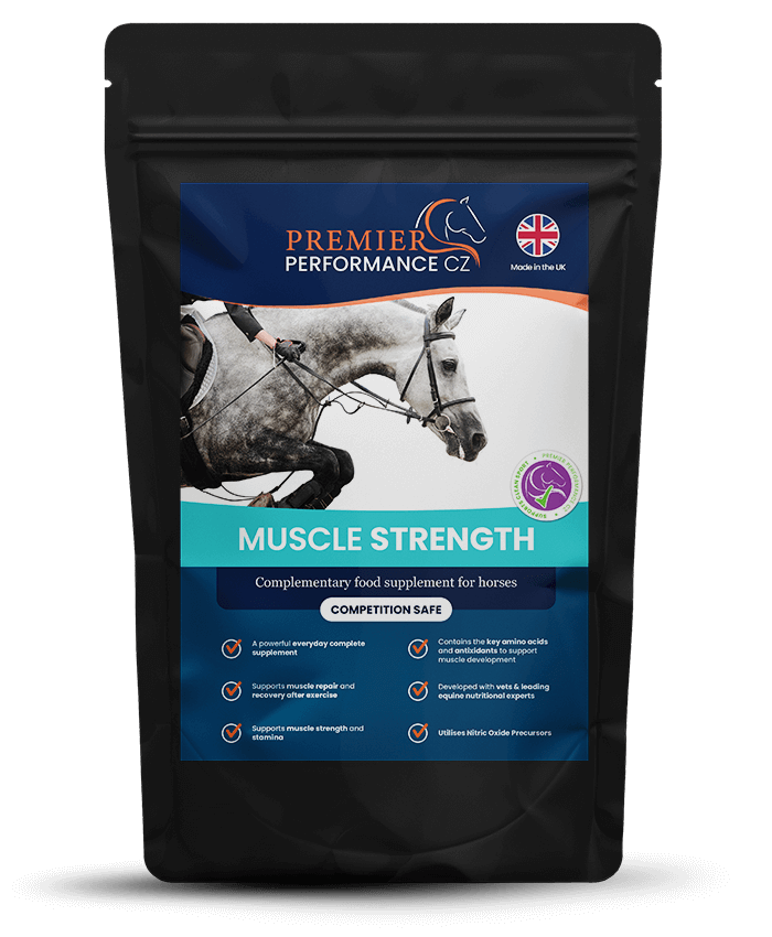 Premier Performance Muscle Strength Supplement for Horses Stamina Recovery