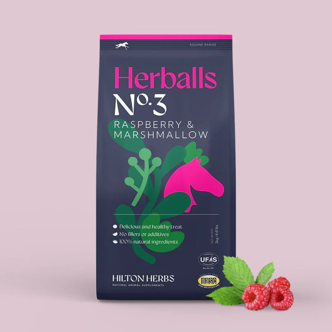 Hilton Herbs Herballs Natural Treats for Horses and Ponies, Low Sugar