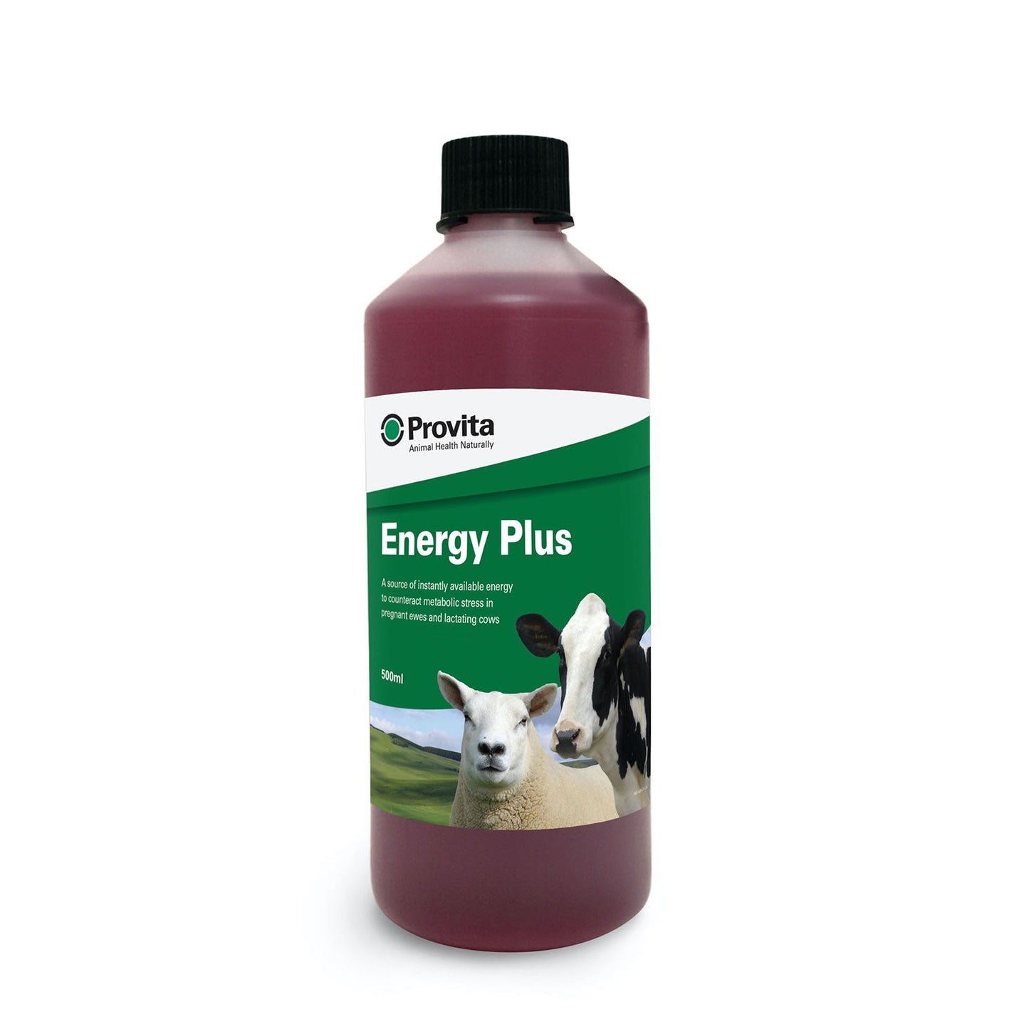 Provita Energy Plus Nutritional Supplement for Cows with Ketosis